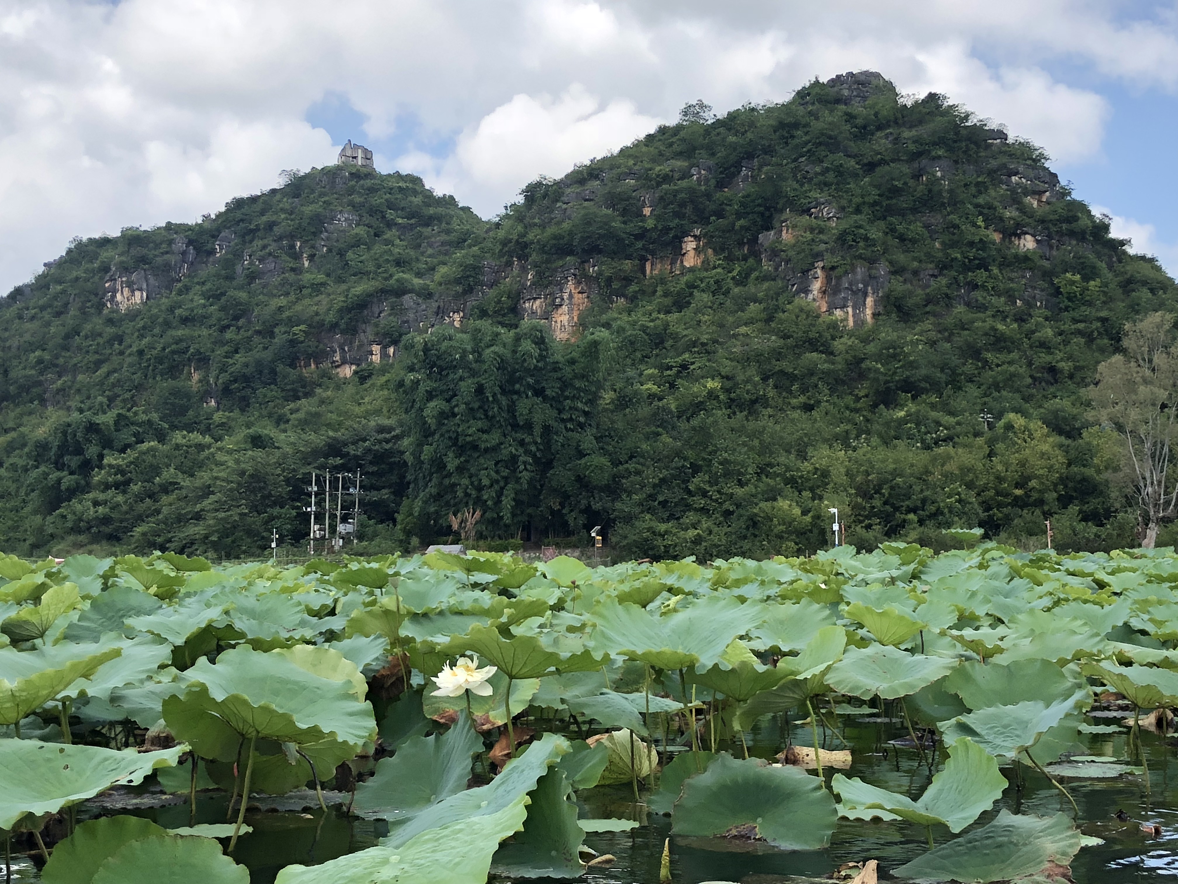  即墨租车流程及注意事项